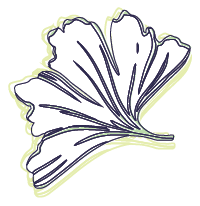 Ginko Digital ginkgo leaves graphic, Pittsburgh