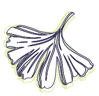 Ginko Digital ginkgo leaves graphic, Pittsburgh