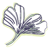 Ginko Digital ginkgo leaves graphic, Pittsburgh