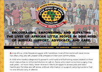 Ginko Digital health e-commerce portfolio, Pittsburgh