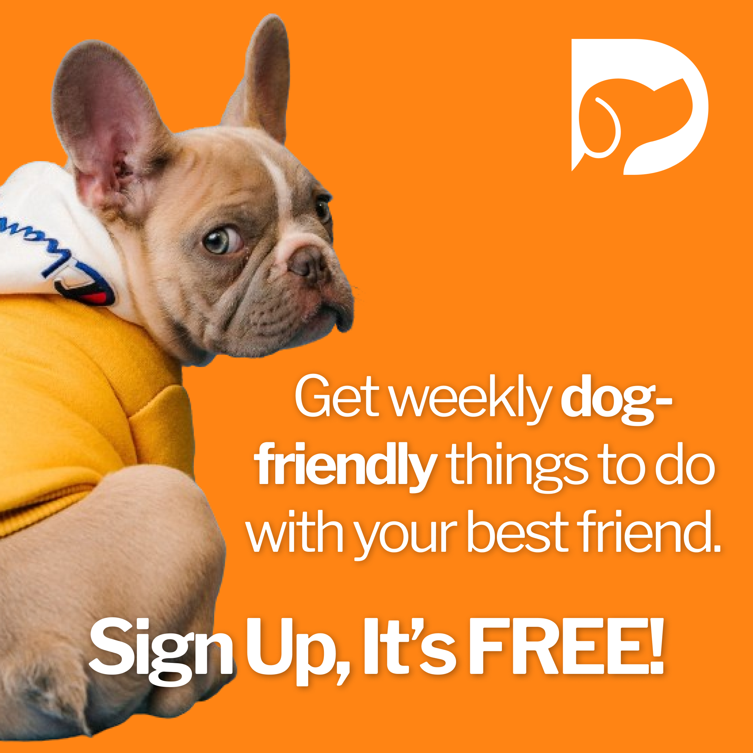 Join Denver Dog Recon Denver's Dog Friendly Directory