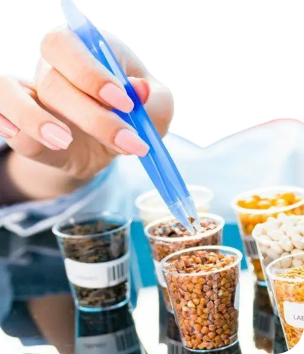 <h3>Food &amp; Gut Allergy</h3>