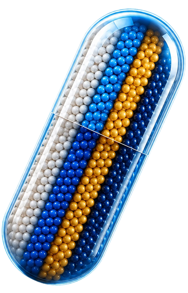 <h3>Limitless Drug</h3>