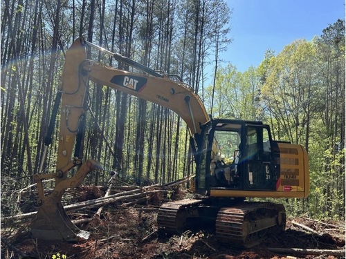 Forestry Mulching in Zephyrhills