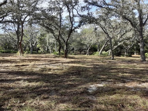 Zephyrhills Land Clearing
