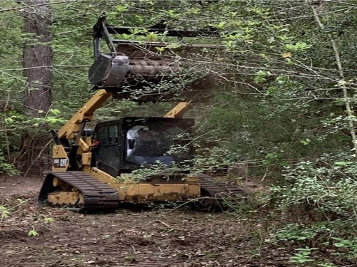Riverview Land Clearing