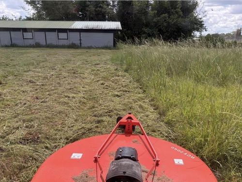  Land Clearing