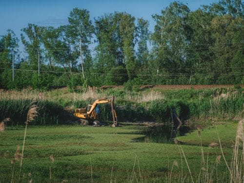 Land Clearing
