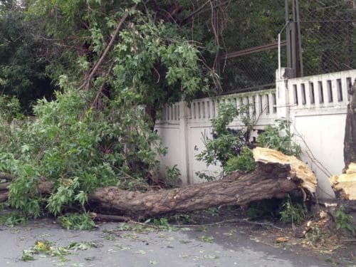 Wesley Chapel Emergency Storm Cleanup