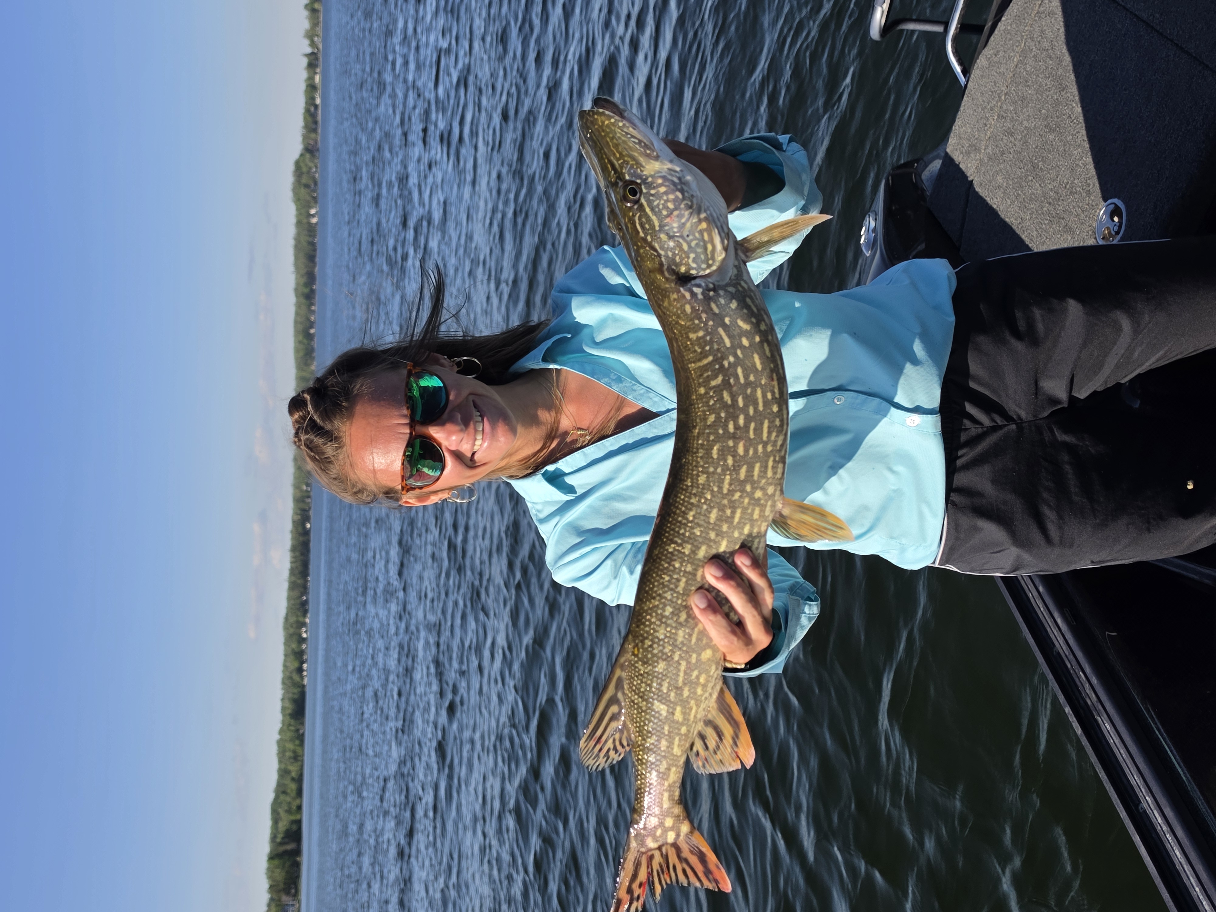 An angler's walleye catch on Captain Curt's boat