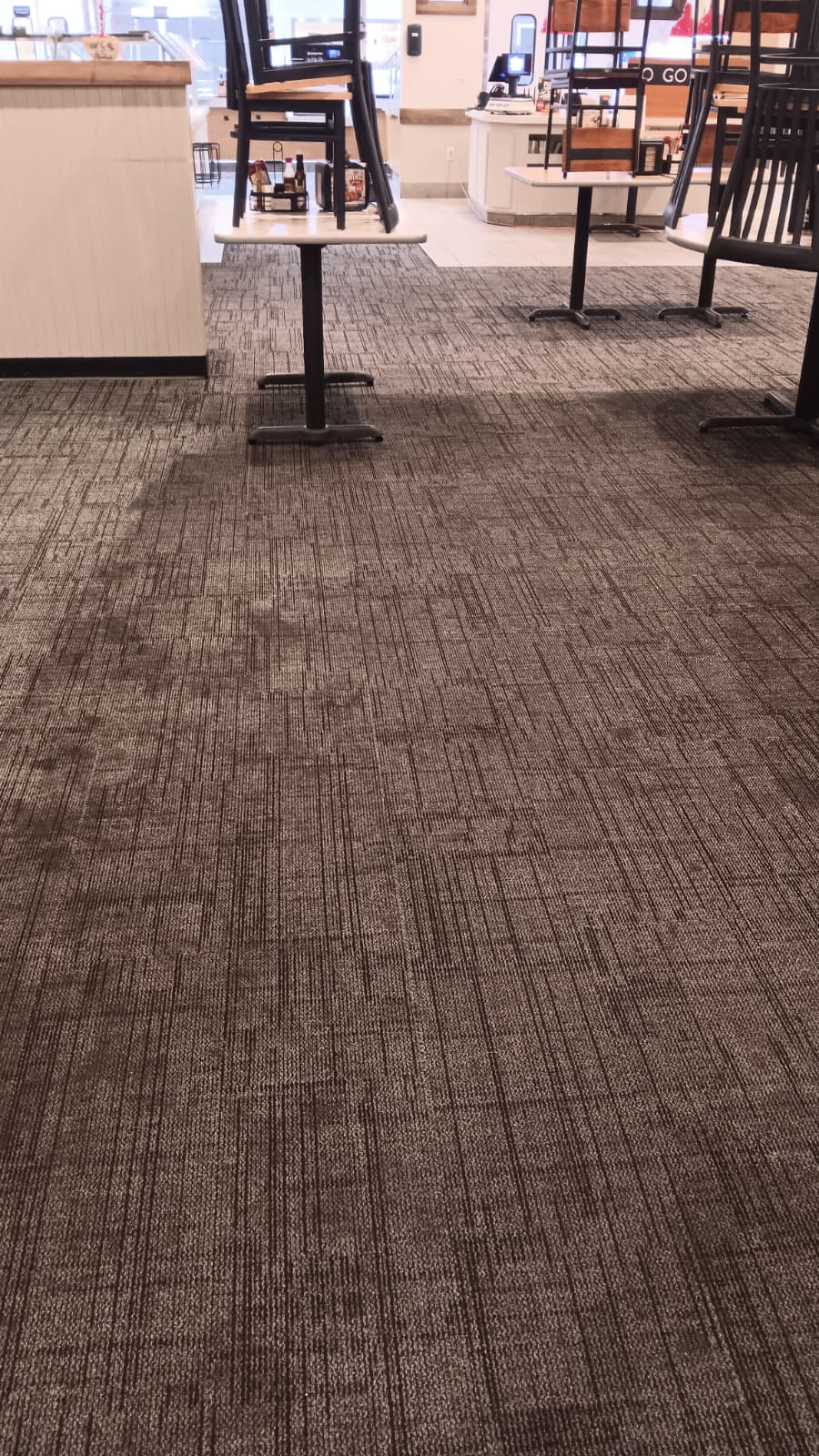 Professional technician using hot water extraction on carpet in Santa Maria — services for homeowners and commercial/office clients across Santa Barbara and San Luis Obispo counties.