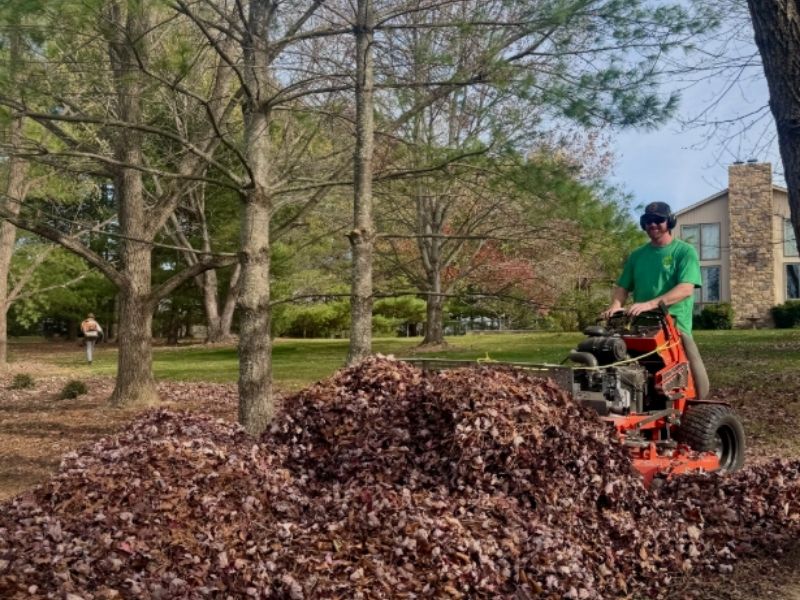 Leaf Removal Services in Augusta County, VA | Fall Cleanup Experts