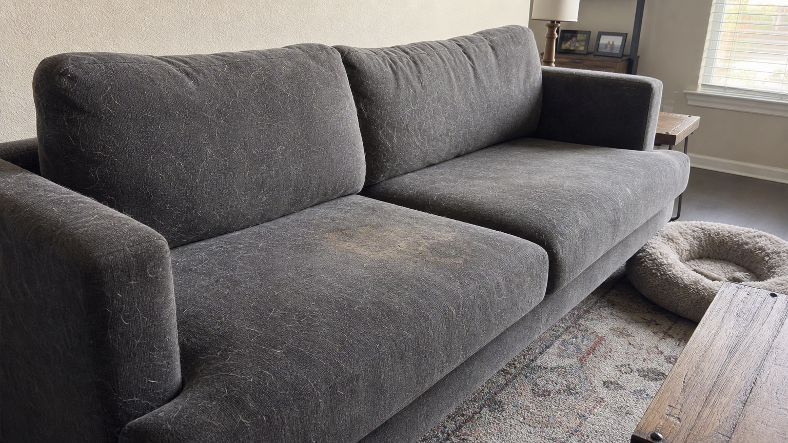 Pet odor and stains upholstery Fort Worth