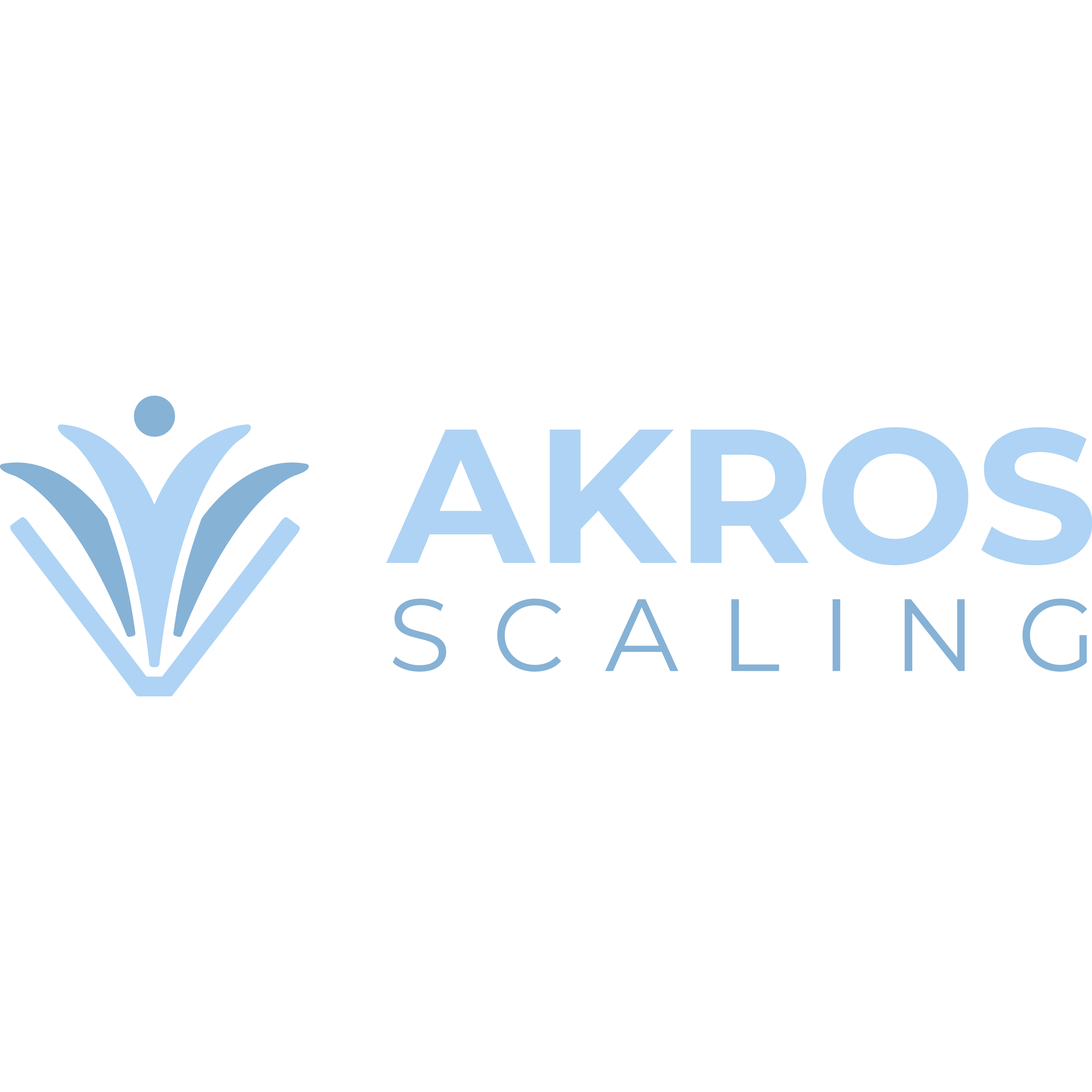 Akros Scaling