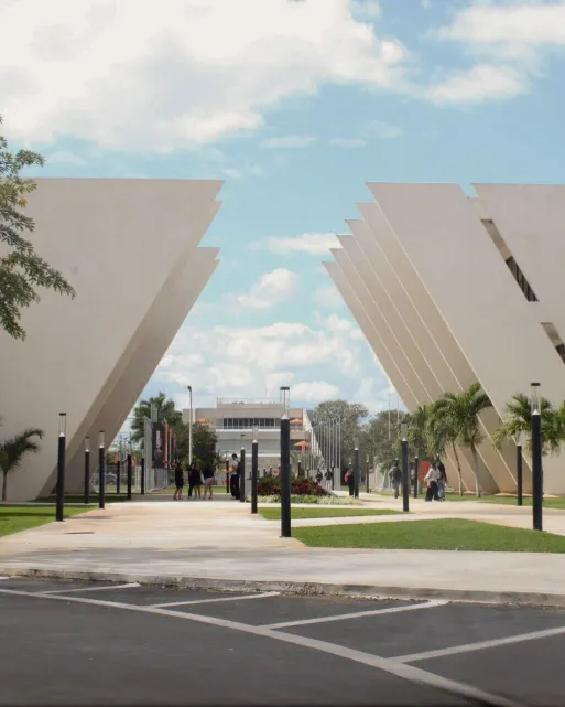 Universidades a 15 minutos de Almaera