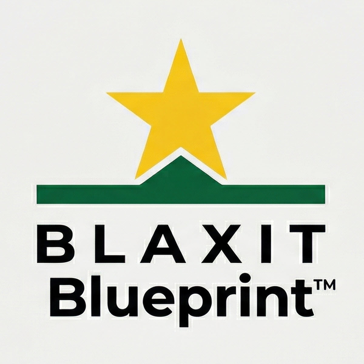 BLAXIT Blueprint Replay
