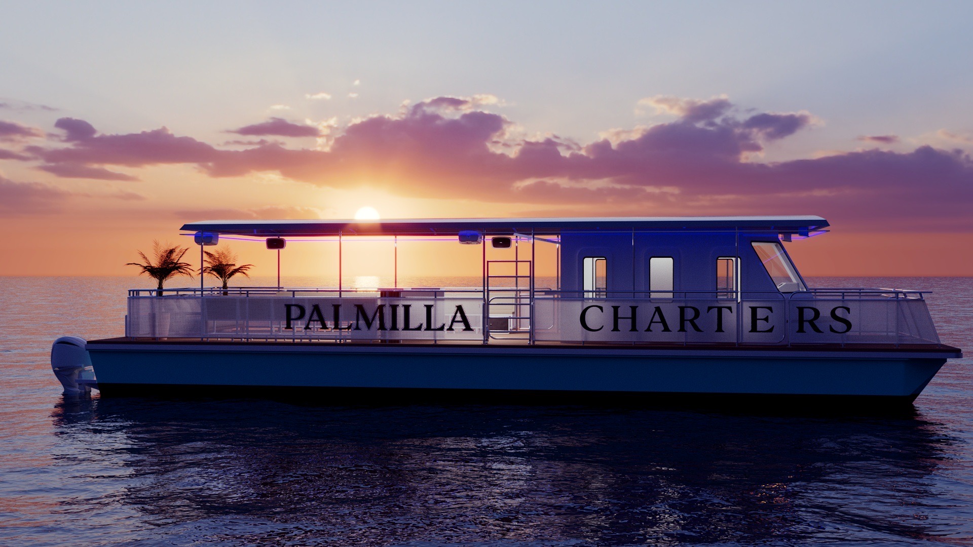 Palmilla Charters Gallery Image 14
