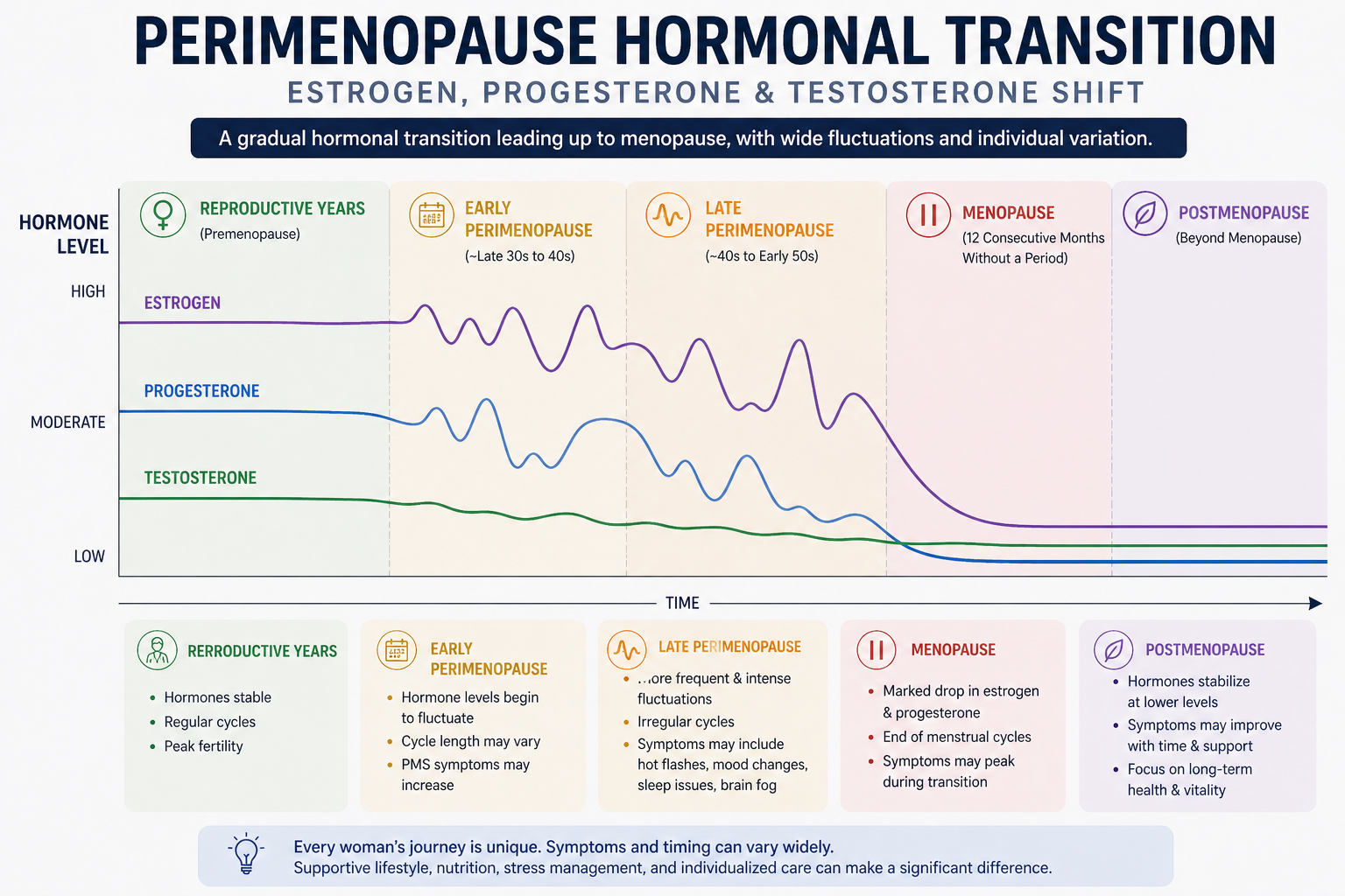Perimenopause hormonal transition diagram — estrogen progesterone testosterone shift Perimenopause hormonal transition diagram — estrogen progesterone testosterone shift