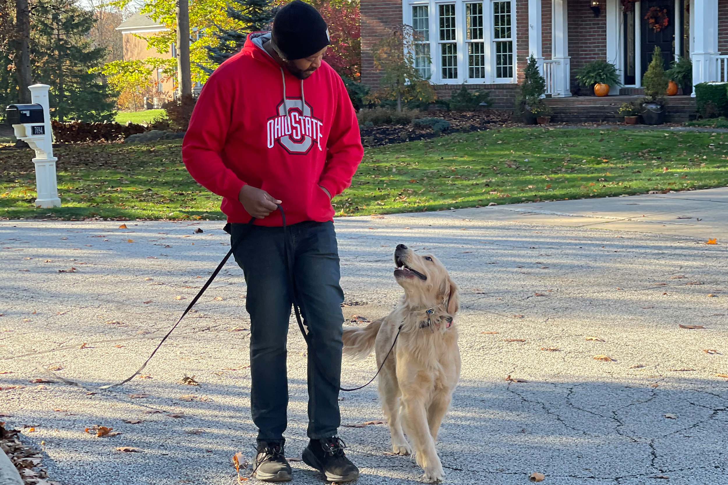 puppy-boarding