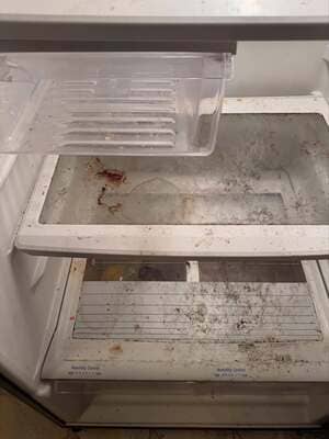 Move Cleaning in Needham, MA