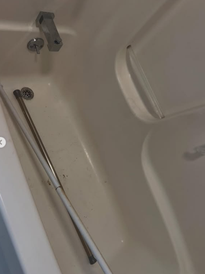 {{ custom_values.service_1 }} in {{custom_values.area_1})