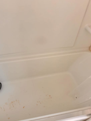 {{ custom_values.service_2 }} in {{custom_values.area_1})