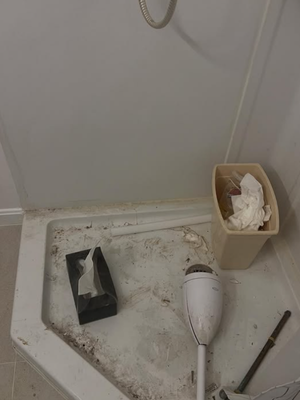 {{ custom_values.service_4 }} in {{custom_values.area_3})