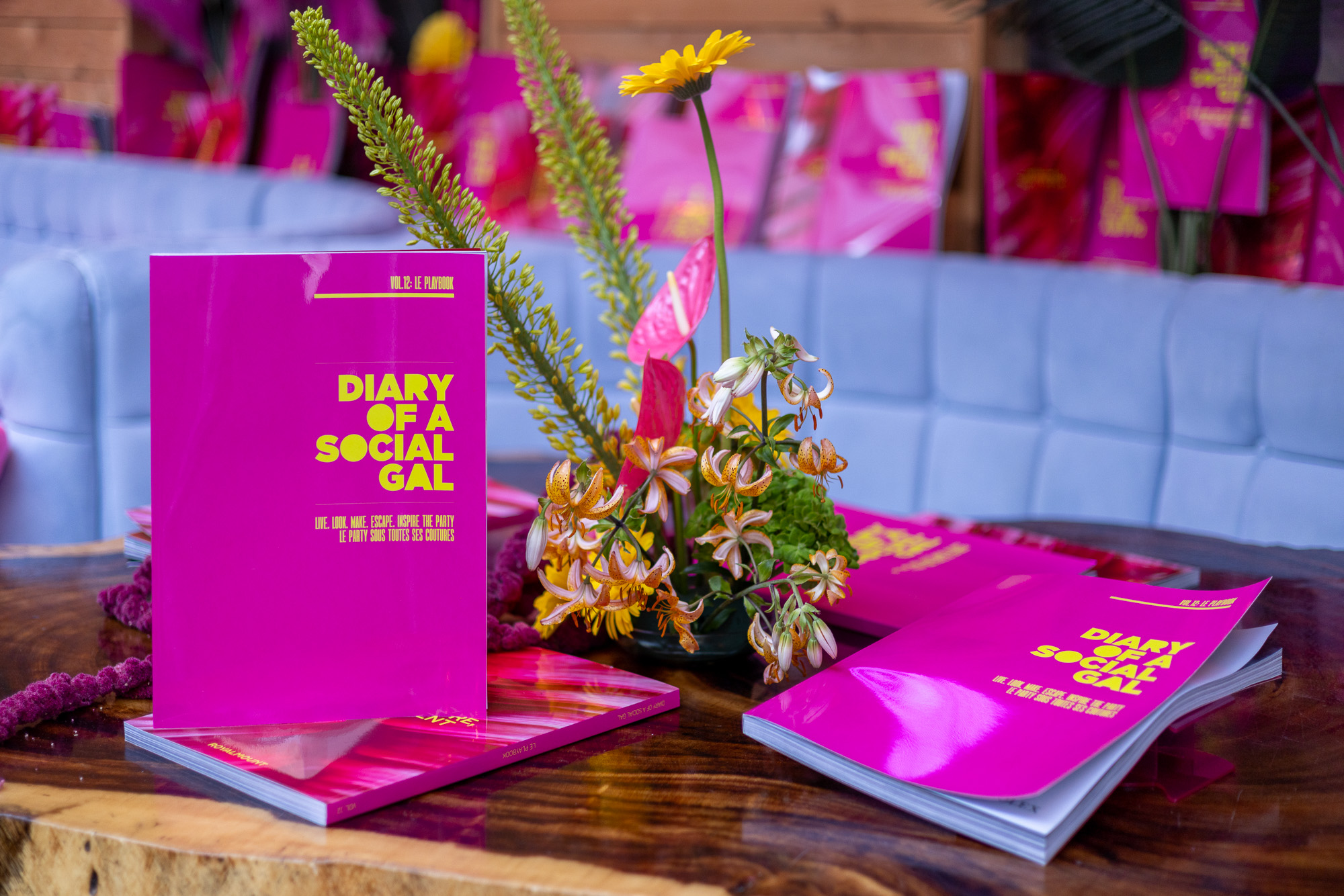 Diary of a Social Gal