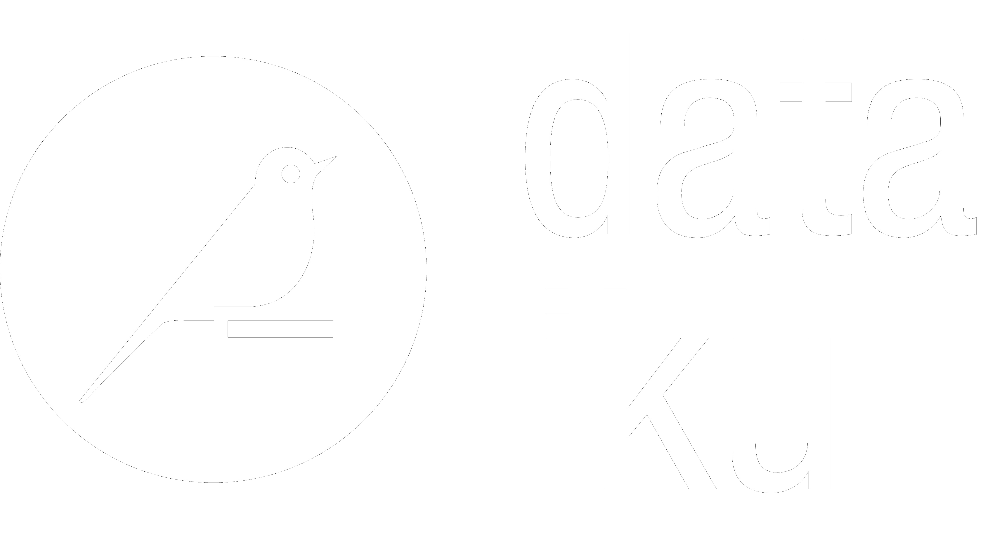 Dataiku