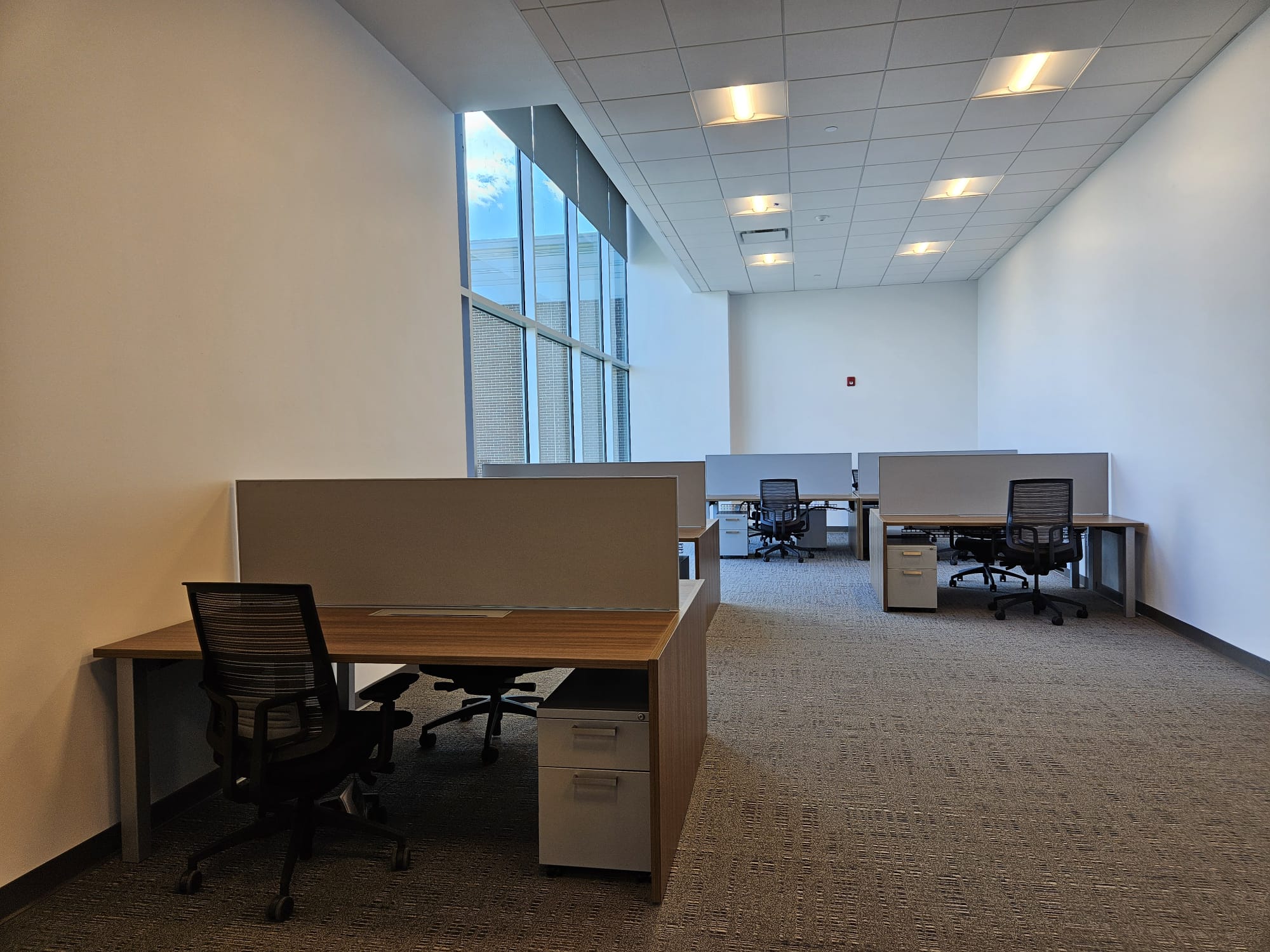 Shiny Cleaning Agency work sample 77