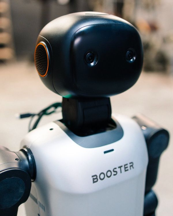 Stewie full-body humanoid robot
