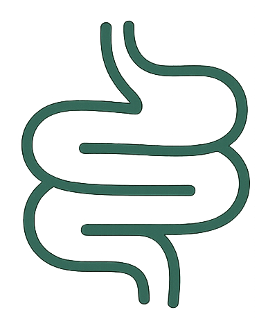 Gut Health