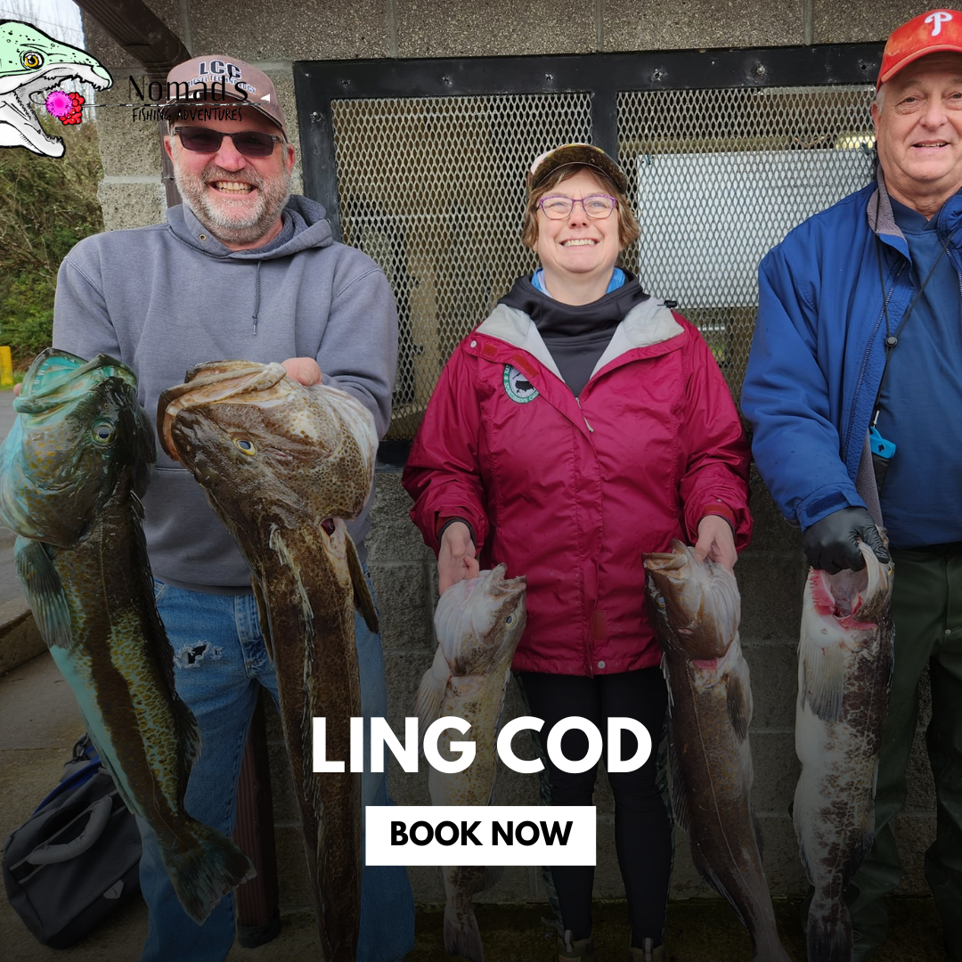 Ling Cod Fishing Oregon