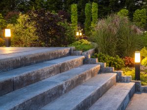 {{ custom_values.service_3 }} in {{custom_values.area_4})