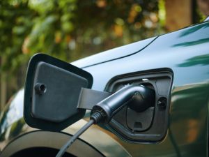 {{ custom_values.service_3 }} in {{custom_values.area_1})