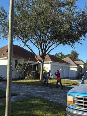 {{ custom_values.service_1 }} in {{custom_values.area_2})