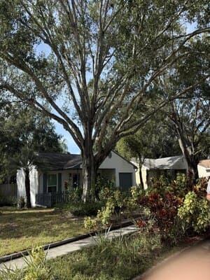 {{ custom_values.service_3 }} in {{custom_values.area_1})