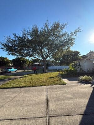 {{ custom_values.service_2 }} in {{custom_values.area_2})