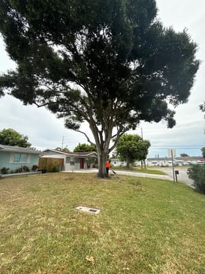 {{ custom_values.service_1 }} in {{custom_values.area_1})