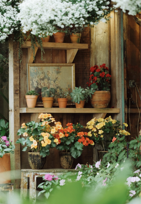 A classroom is a garden.