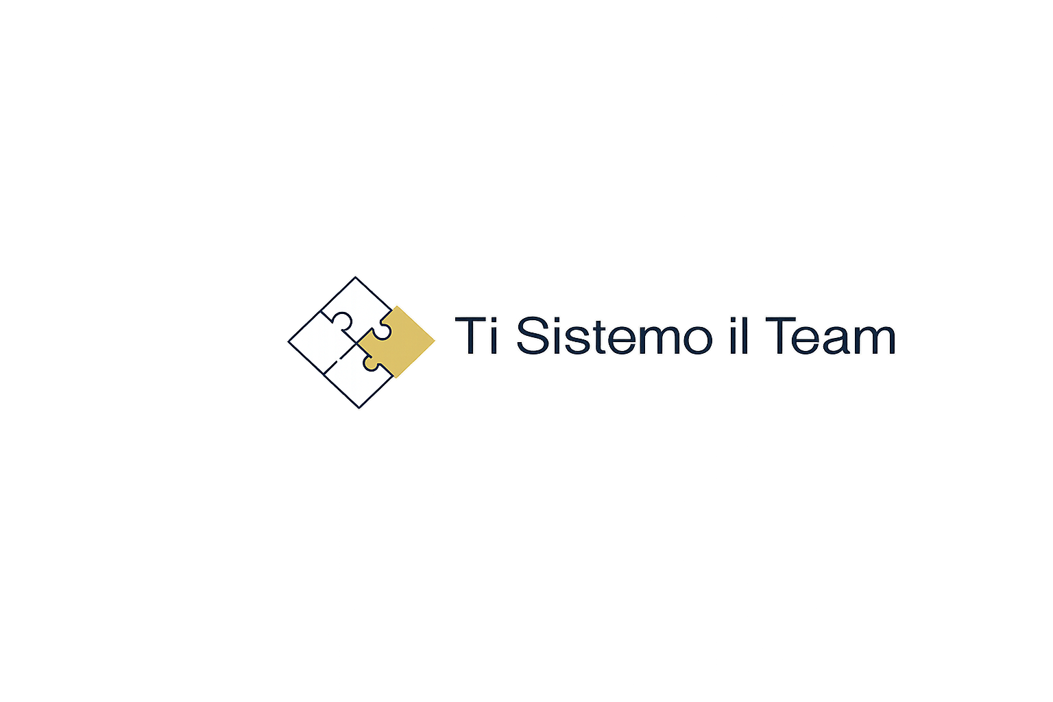 Ti Sistemo il Team