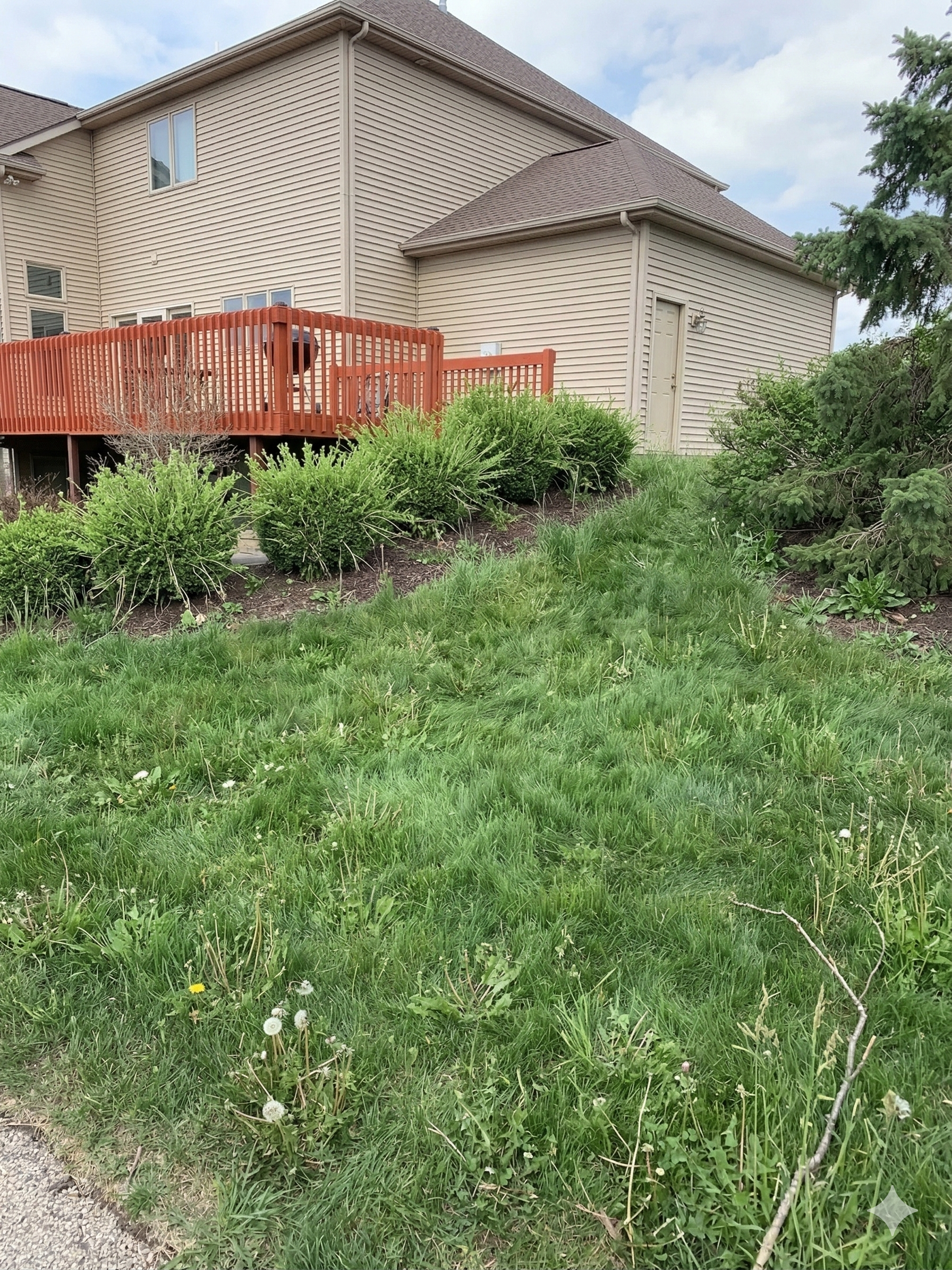 Before - Full Property