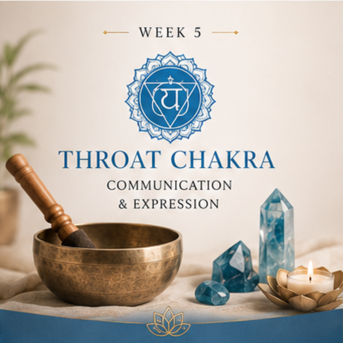 DAY 5 - Communication Exhaustion + Throat Chakra 