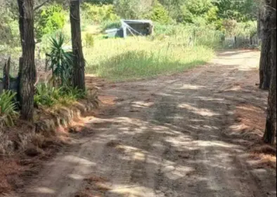 newly built farm track