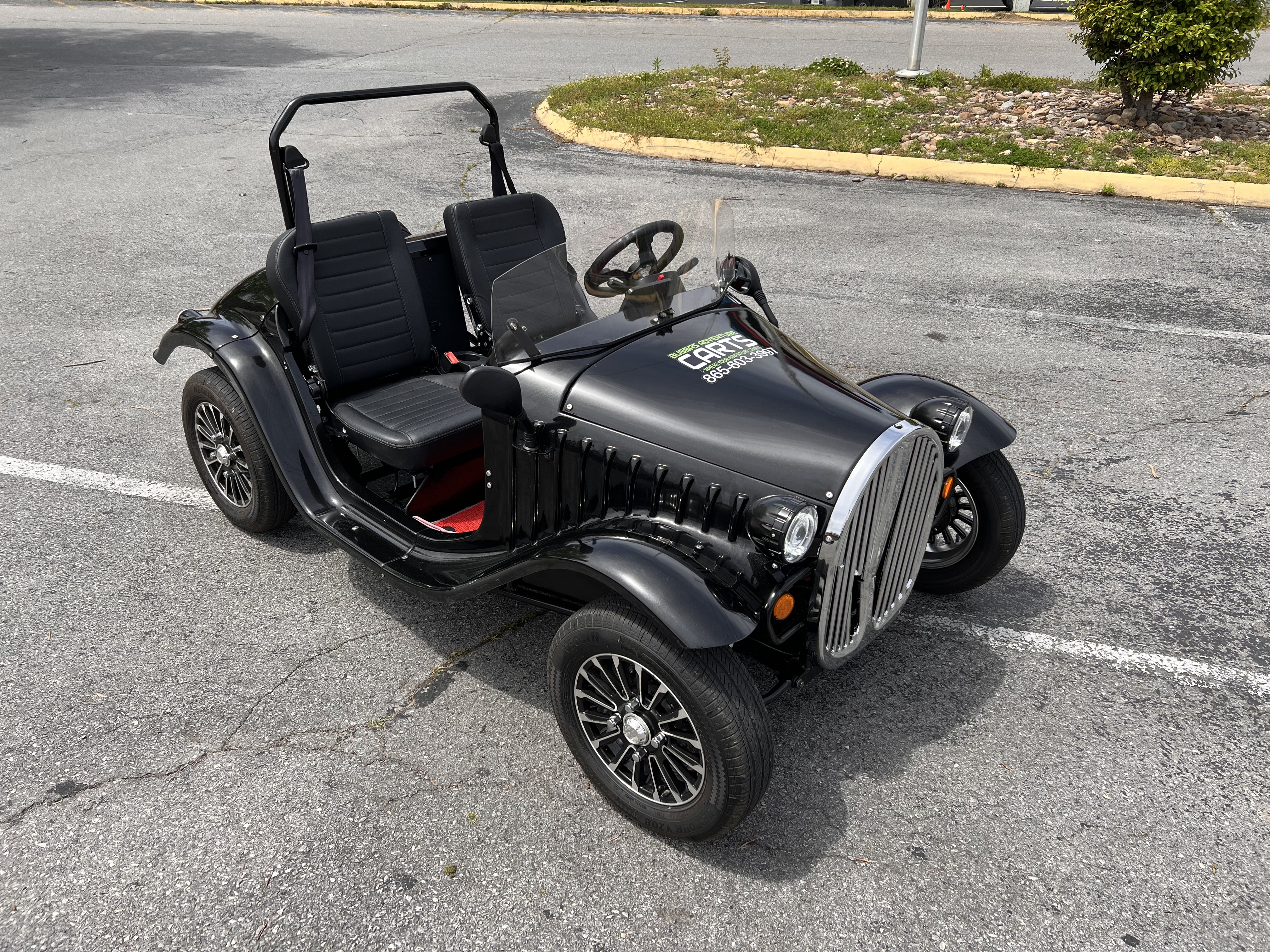 2 Seater Cruiser Golf Cart
