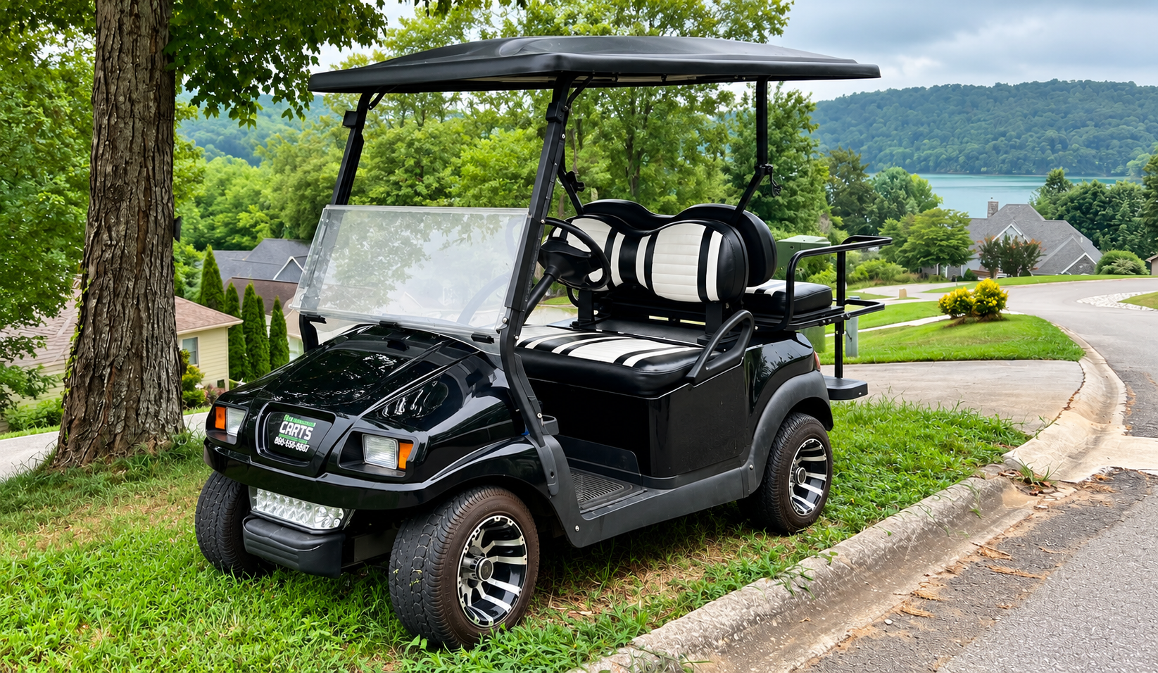 4 passenger golf cart rental for cabins resorts campgrounds and private property