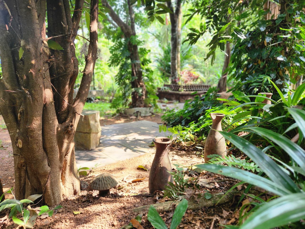 Peaceful tropical garden with lush greenery, stone path, and a terracotta pot