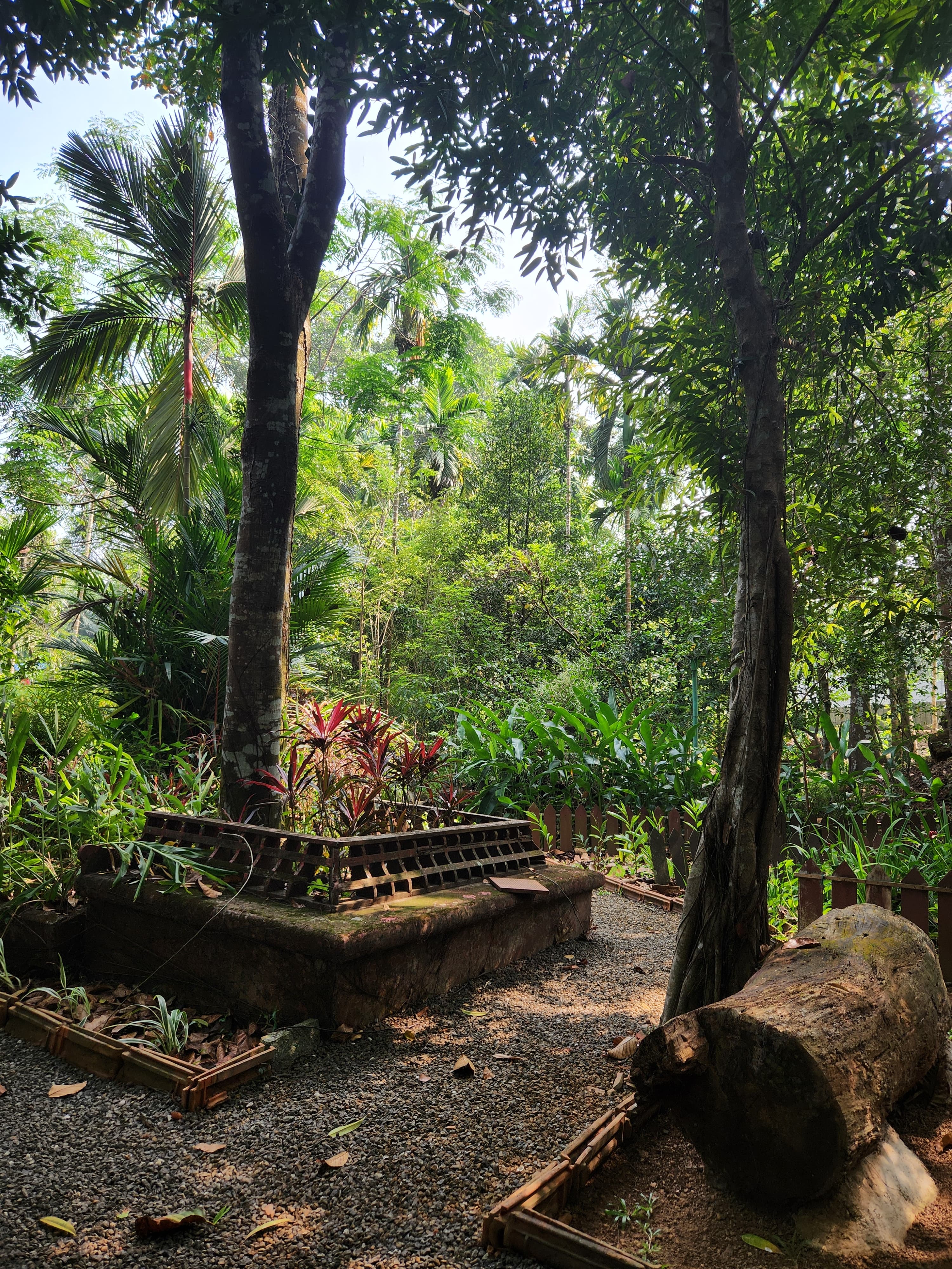 Peaceful tropical garden with lush greenery, stone path, and a terracotta pot
