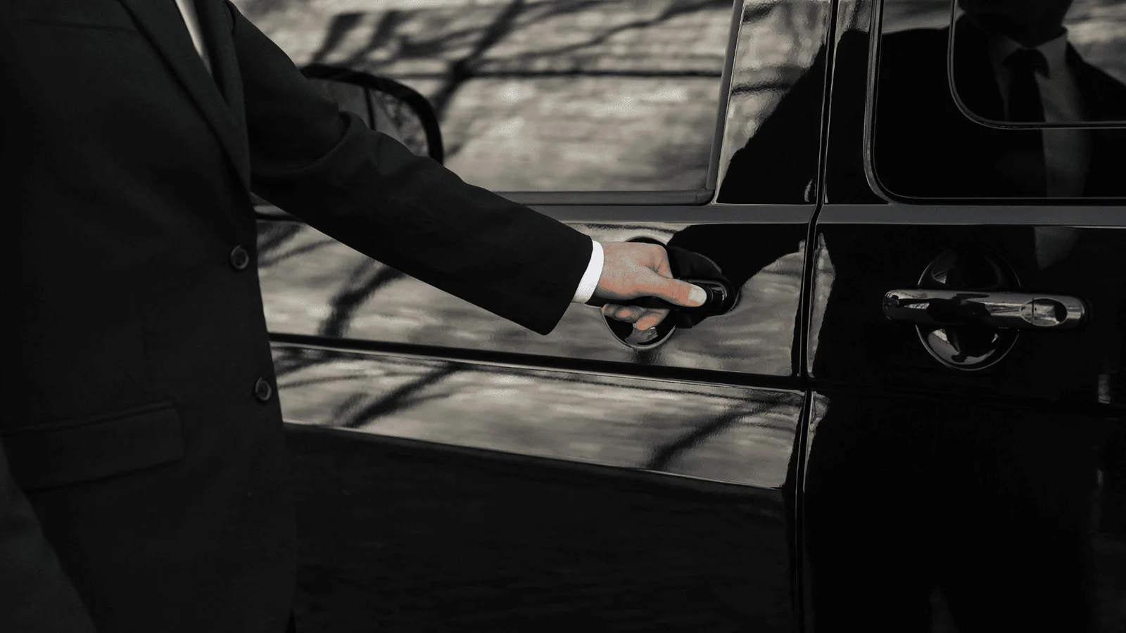 Conductor profesional Jaguar