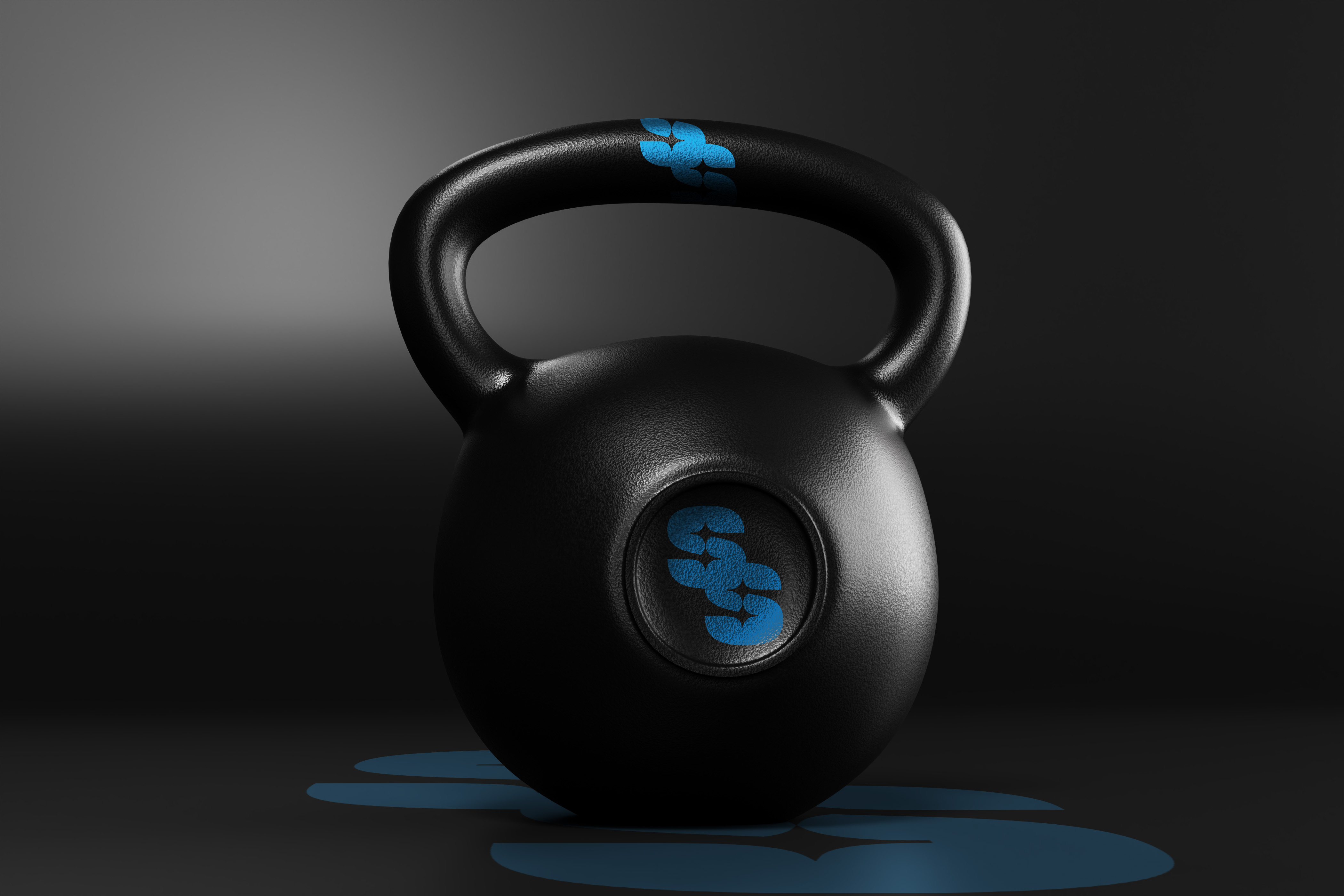 Private training platform at Strong & Sleek Scottsdale